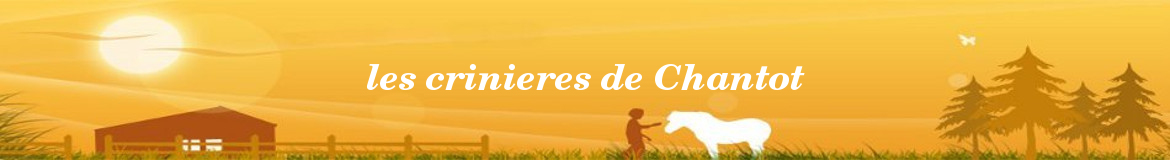 les crinieres de Chantot